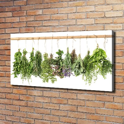 Tableau photo sur toile Herbes sur un fil