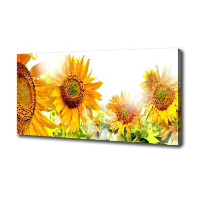 Tableau imprimé sur toile Tournesol