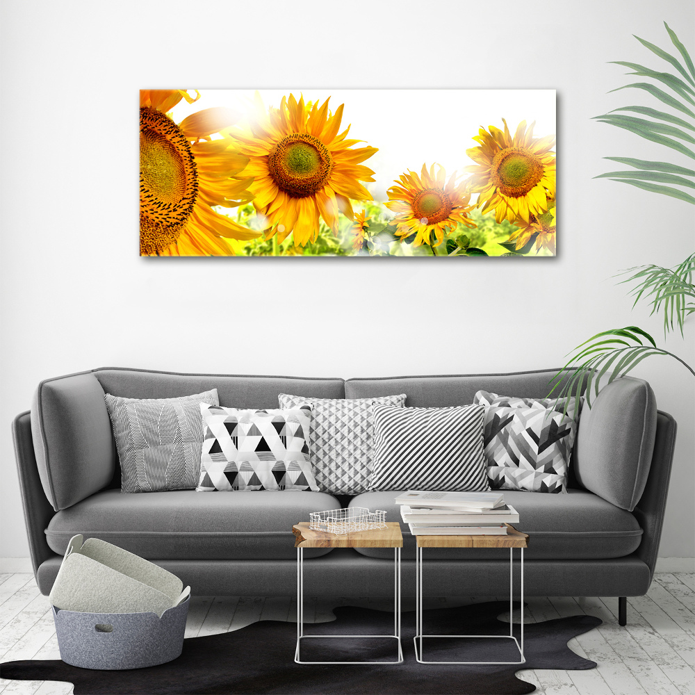 Tableau imprimé sur toile Tournesol