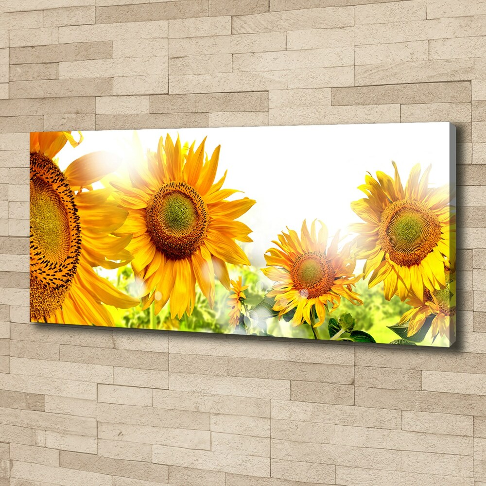 Tableau imprimé sur toile Tournesol