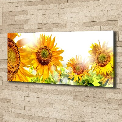 Tableau imprimé sur toile Tournesol