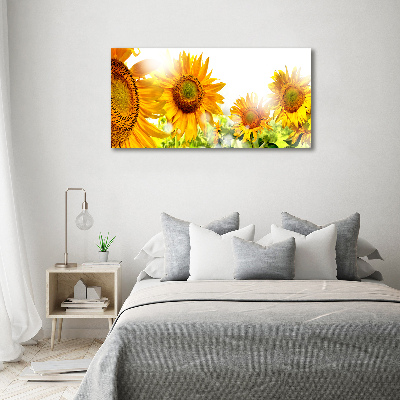 Tableau imprimé sur toile Tournesol