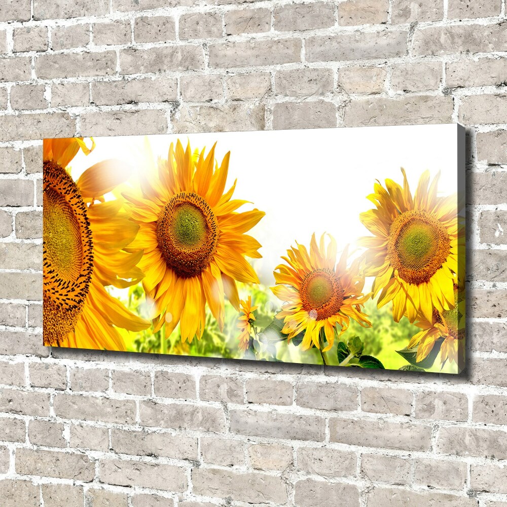 Tableau imprimé sur toile Tournesol