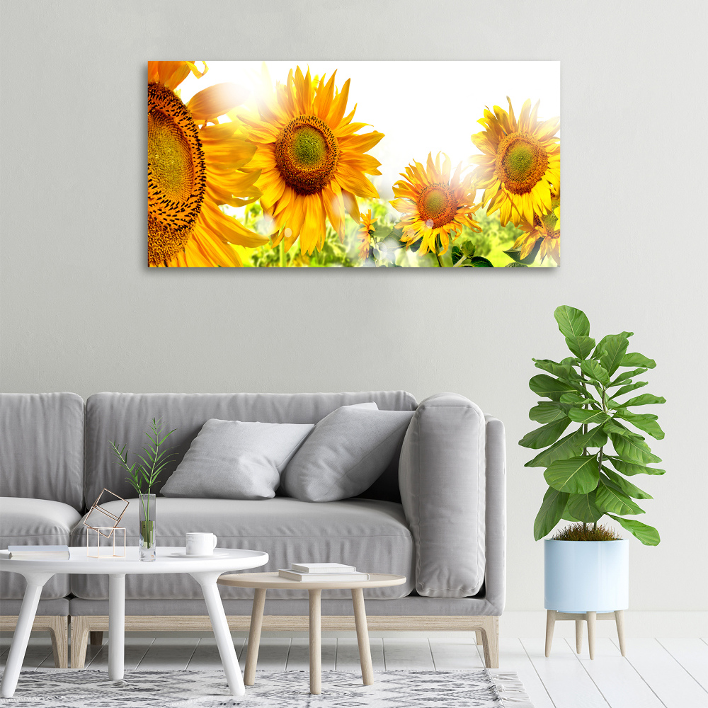 Tableau imprimé sur toile Tournesol