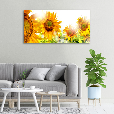 Tableau imprimé sur toile Tournesol