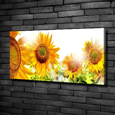 Tableau imprimé sur toile Tournesol