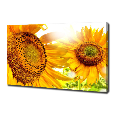 Tableau imprimé sur toile Tournesol