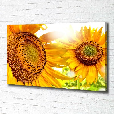 Tableau imprimé sur toile Tournesol