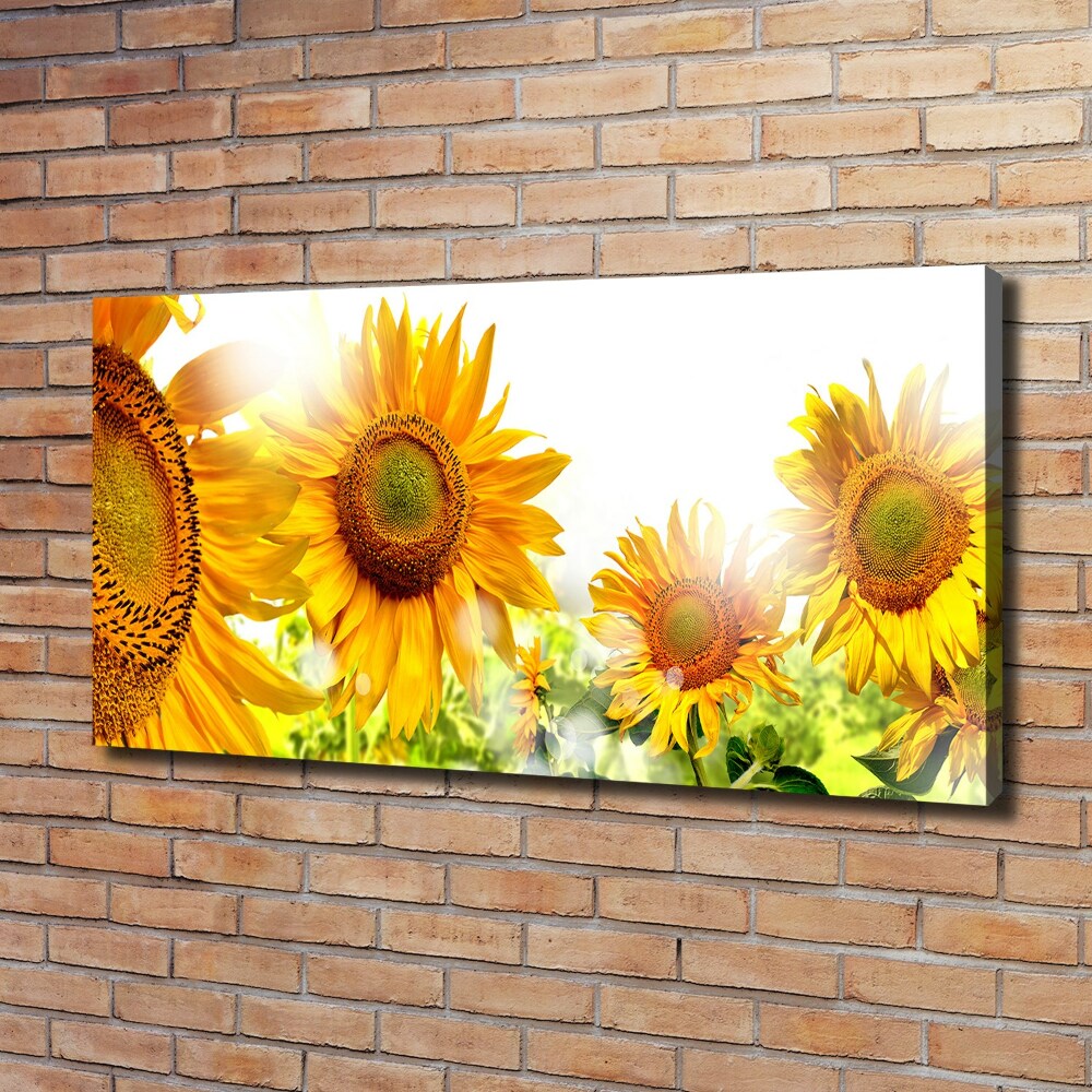 Tableau imprimé sur toile Tournesol