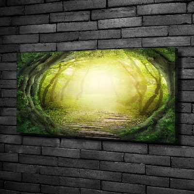 Tableau toile imprimée Tunnel en forme d'arbre