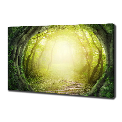 Tableau toile imprimée Tunnel en forme d'arbre