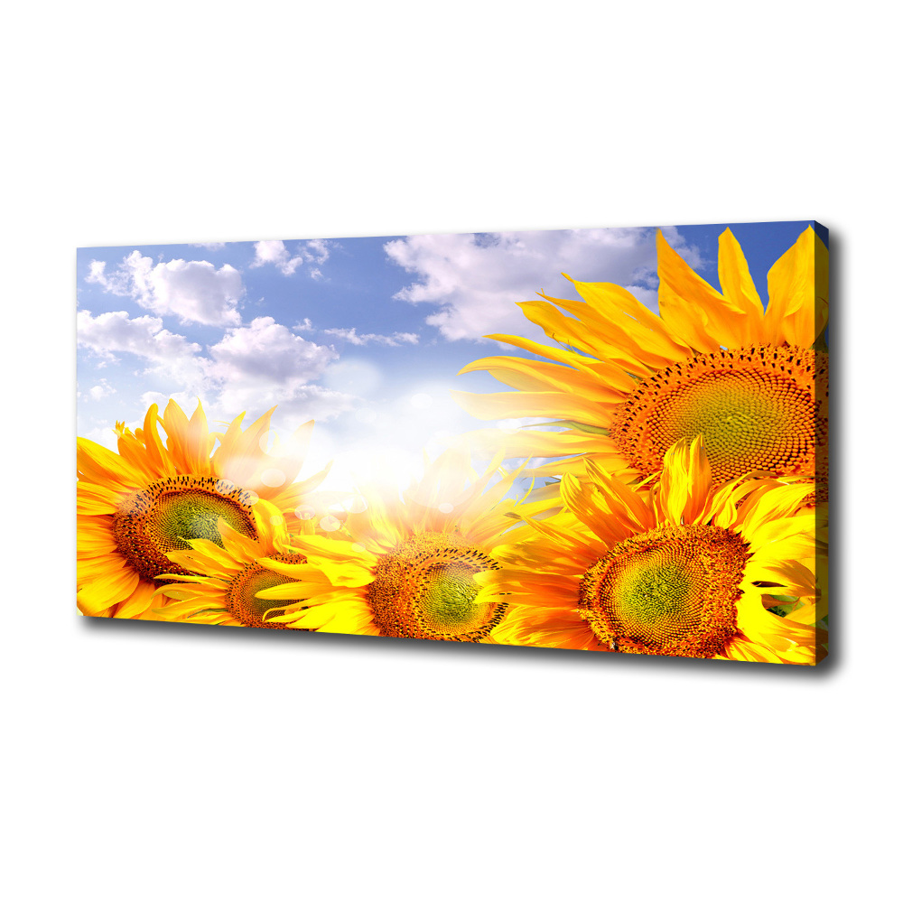 Tableau photo sur toile Tournesol