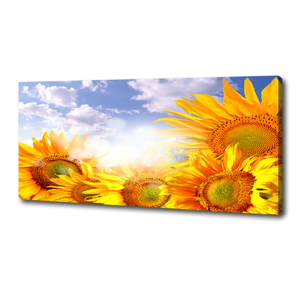 Tableau photo sur toile Tournesol