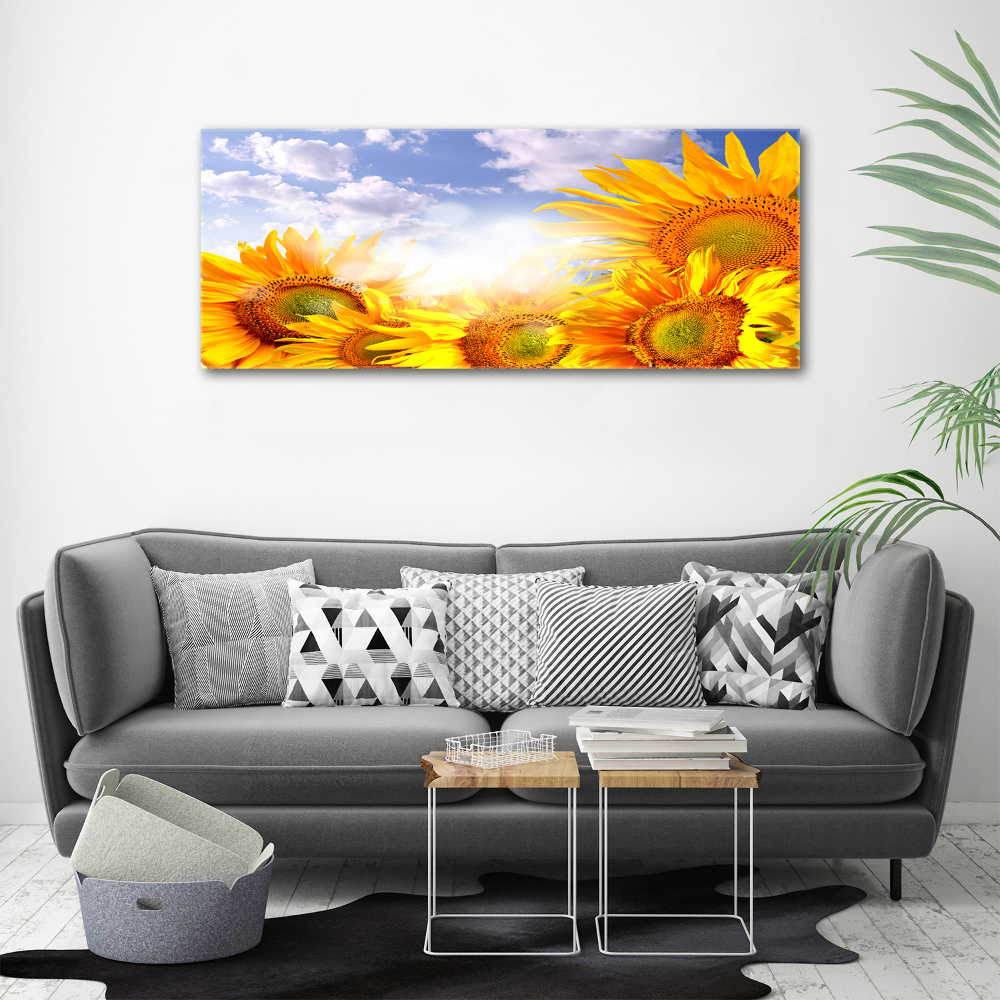 Tableau photo sur toile Tournesol