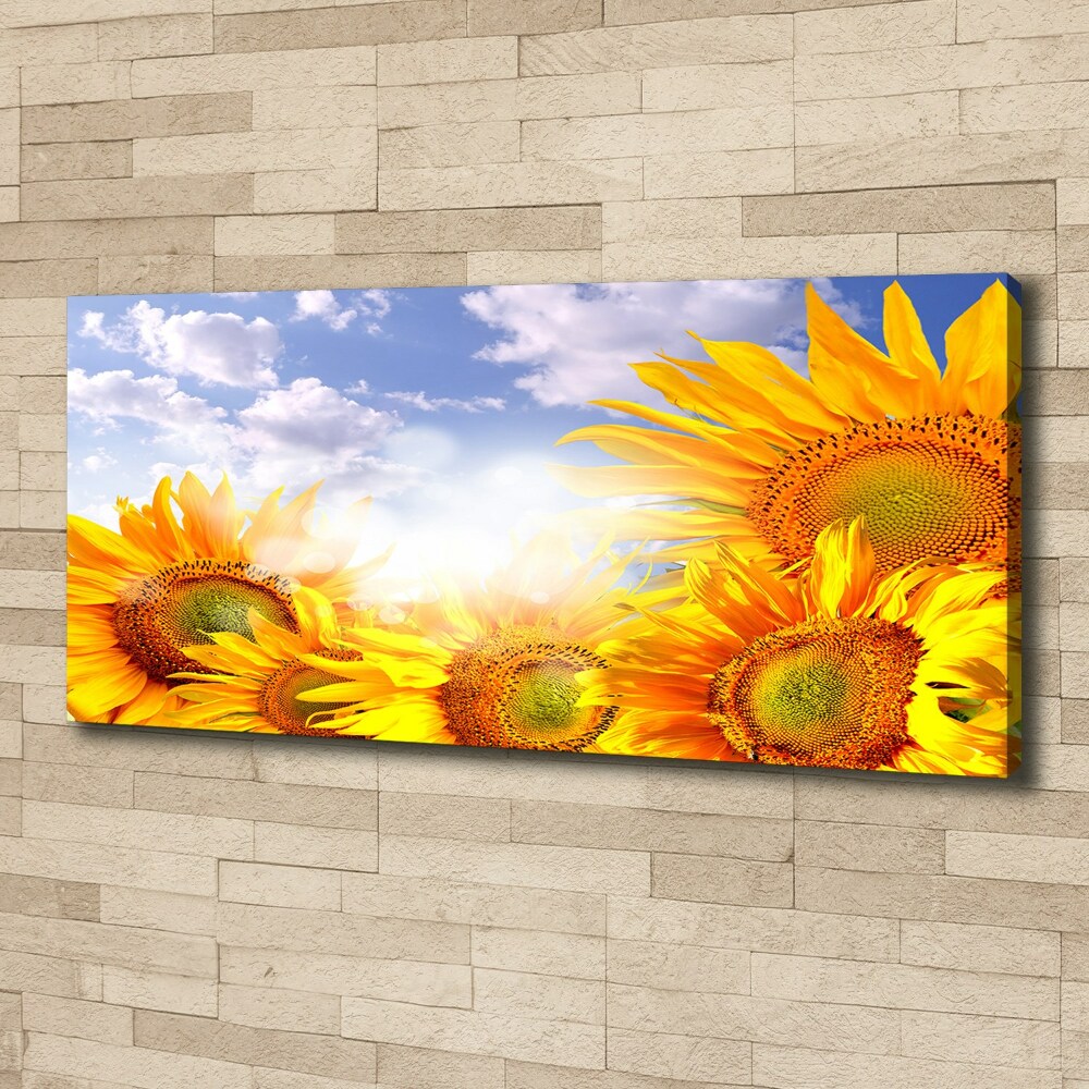 Tableau photo sur toile Tournesol