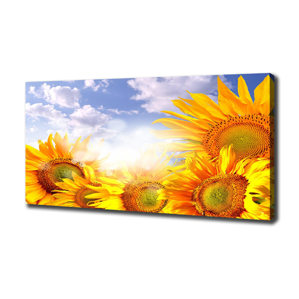 Tableau photo sur toile Tournesol