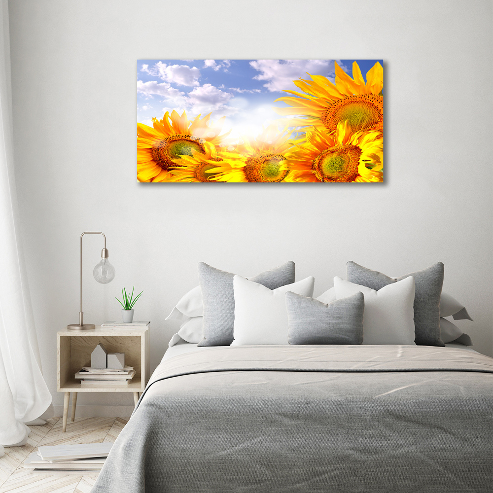 Tableau photo sur toile Tournesol