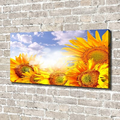 Tableau photo sur toile Tournesol