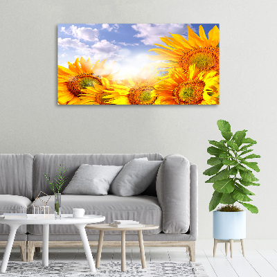 Tableau photo sur toile Tournesol