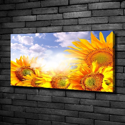 Tableau photo sur toile Tournesol