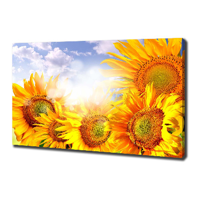 Tableau photo sur toile Tournesol