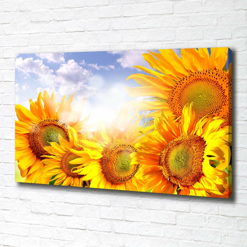 Tableau photo sur toile Tournesol