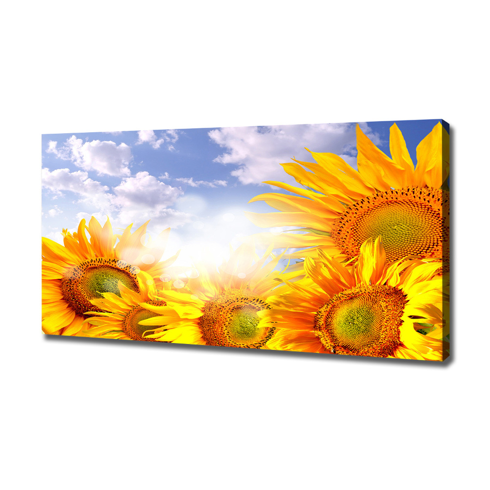 Tableau photo sur toile Tournesol