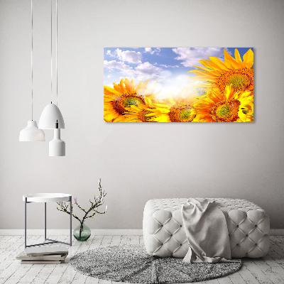 Tableau photo sur toile Tournesol