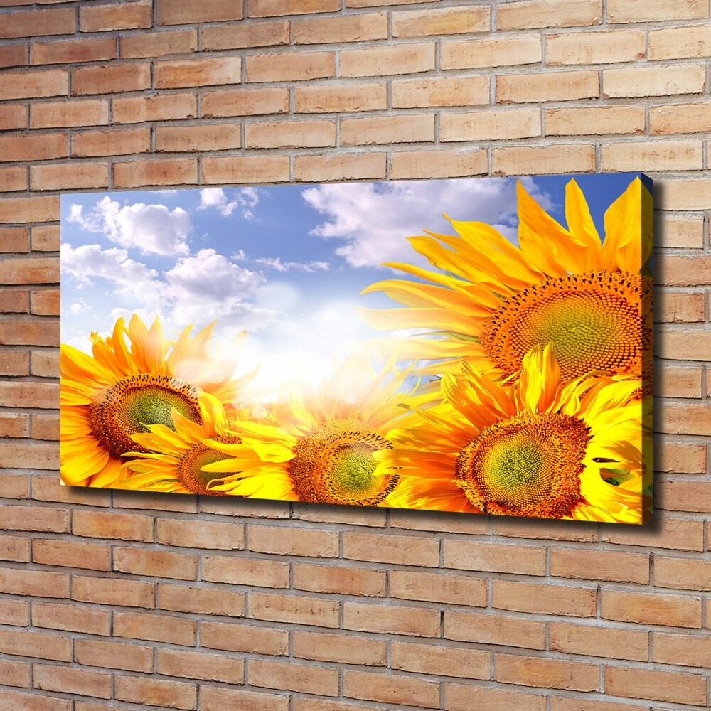 Tableau photo sur toile Tournesol