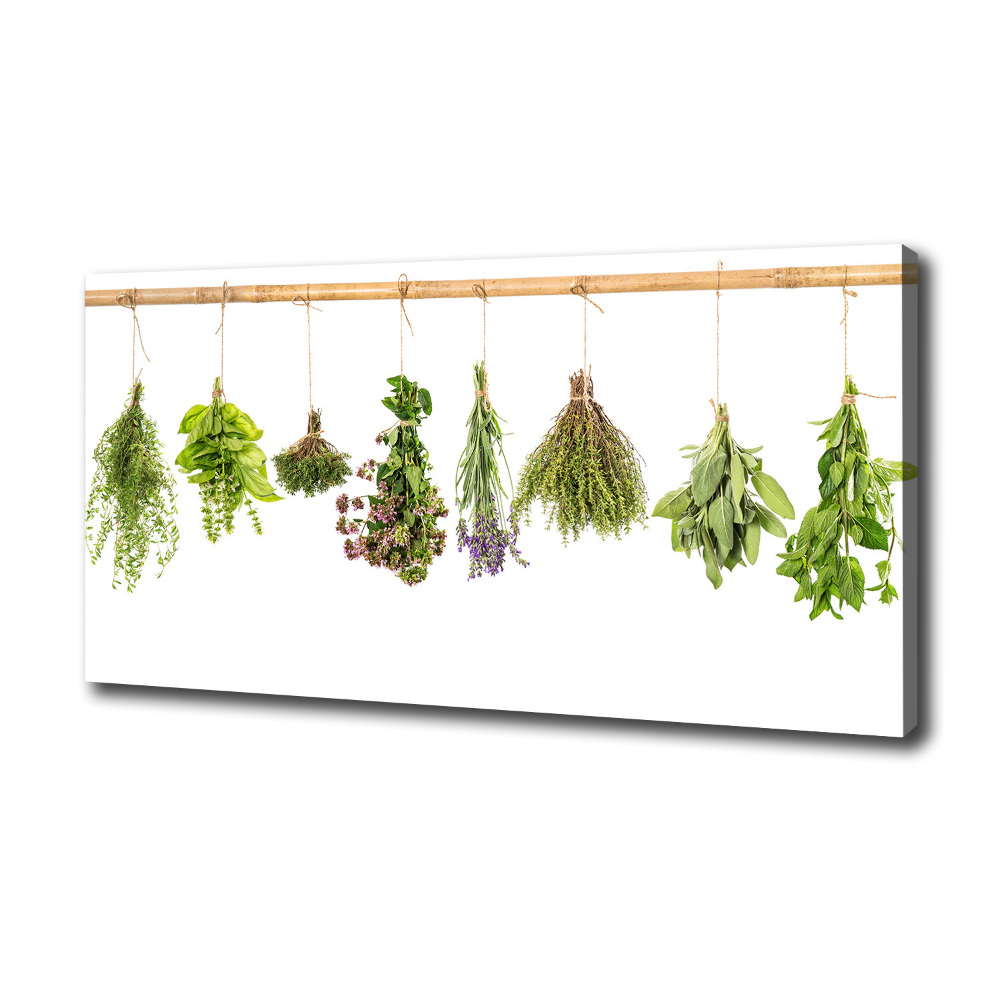 Tableau photo sur toile Herbes sur une ficelle