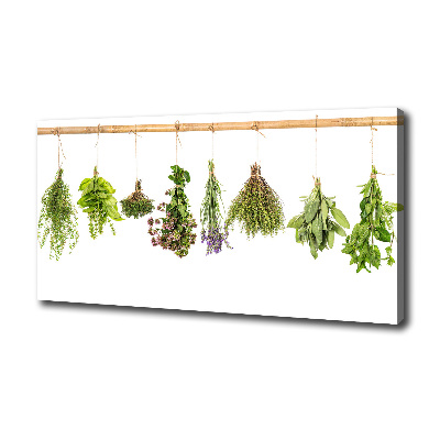 Tableau photo sur toile Herbes sur une ficelle