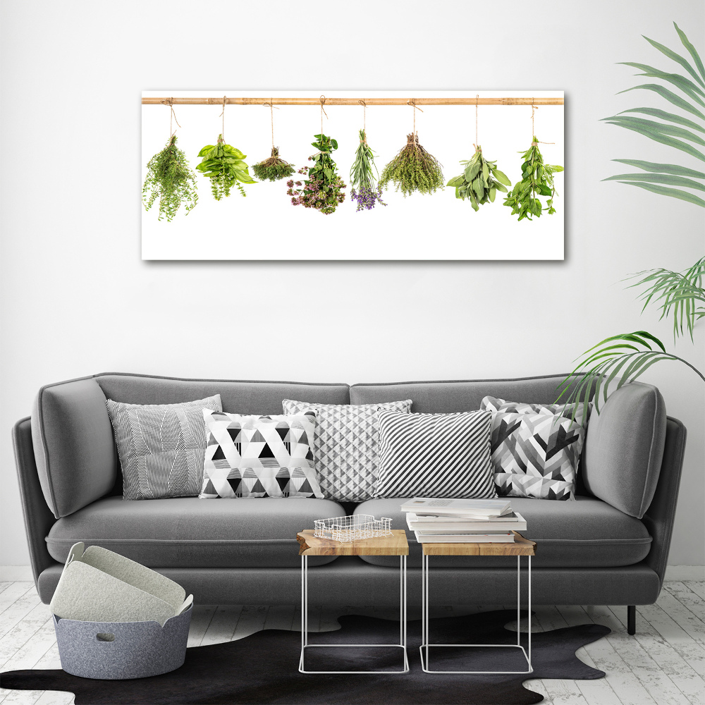 Tableau photo sur toile Herbes sur une ficelle