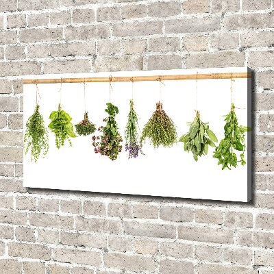 Tableau photo sur toile Herbes sur une ficelle