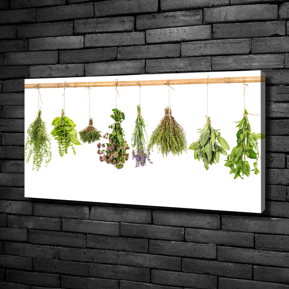 Tableau photo sur toile Herbes sur une ficelle