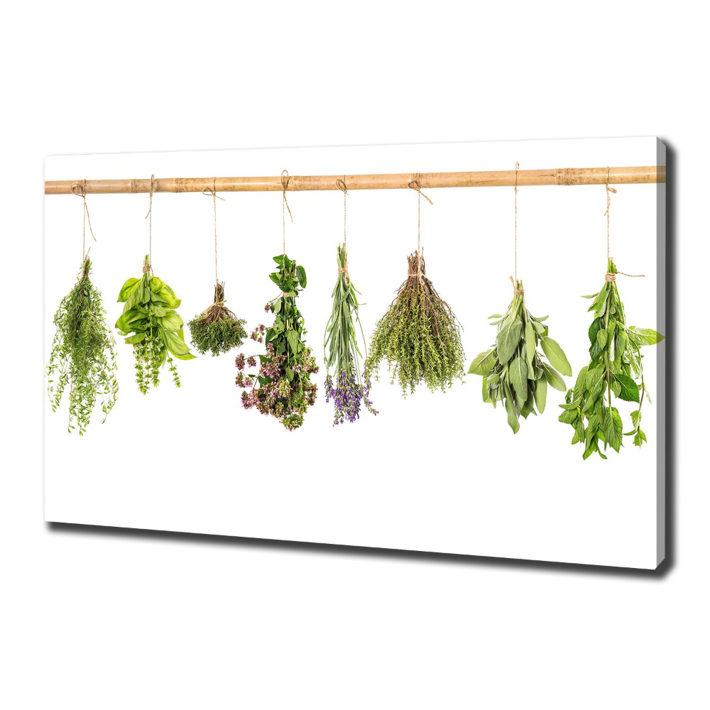 Tableau photo sur toile Herbes sur une ficelle