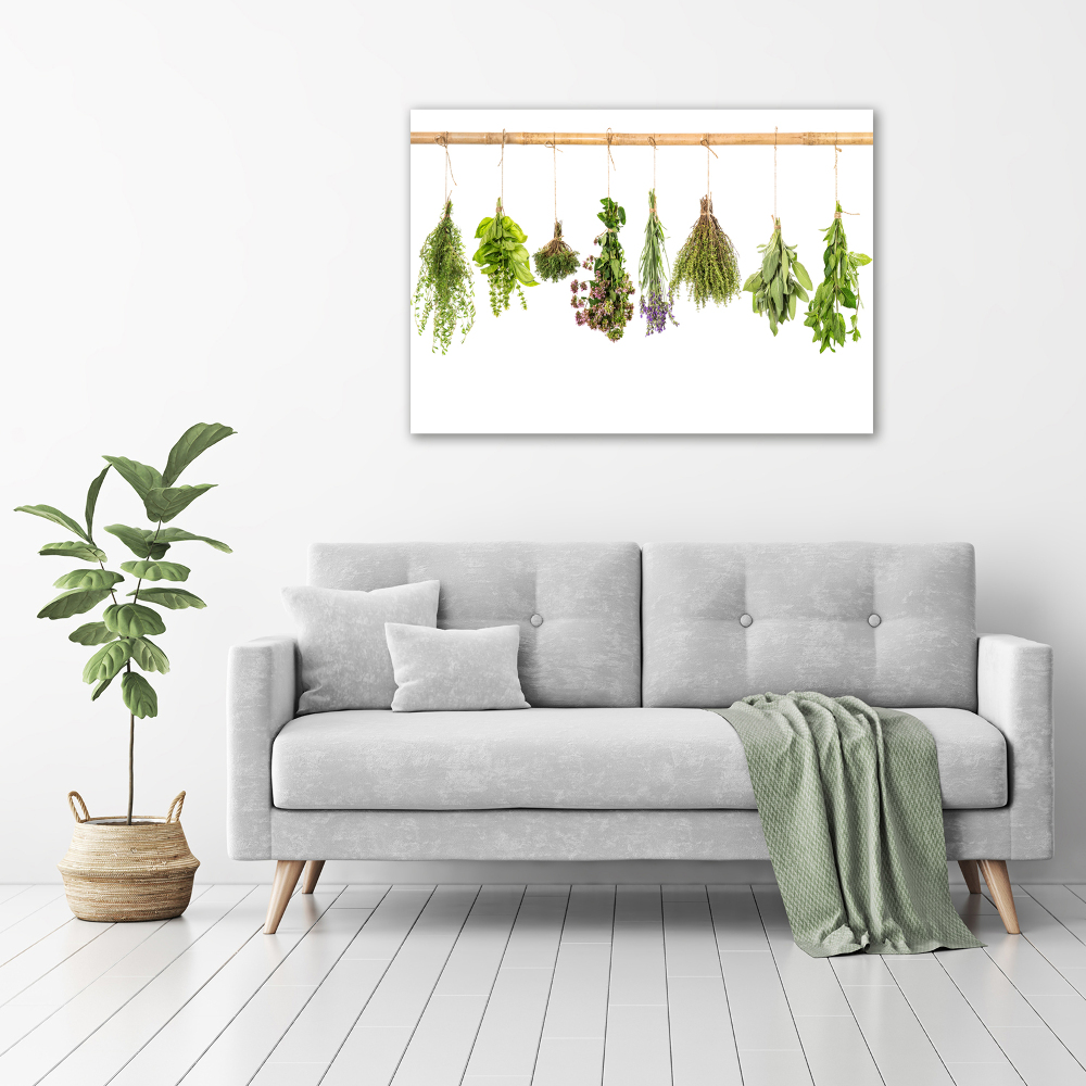 Tableau photo sur toile Herbes sur une ficelle