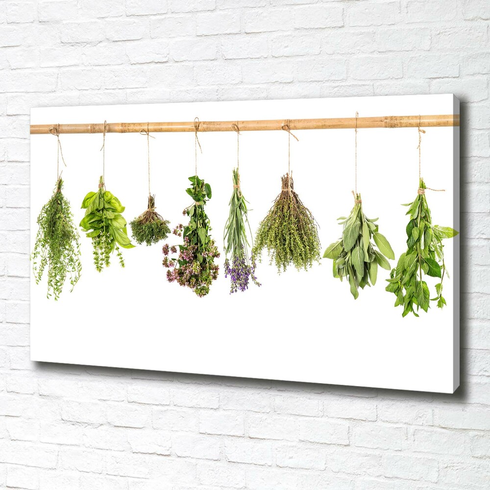 Tableau photo sur toile Herbes sur une ficelle