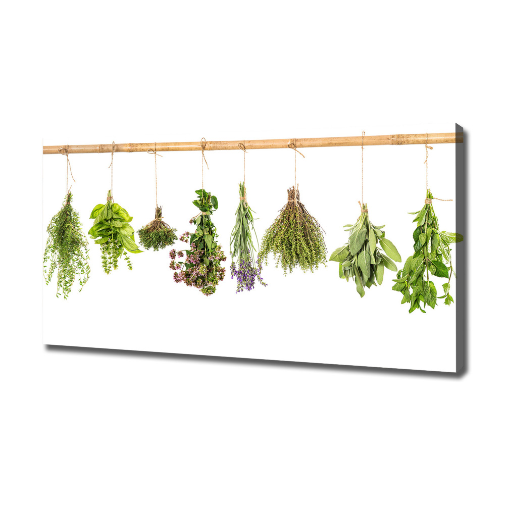 Tableau photo sur toile Herbes sur une ficelle