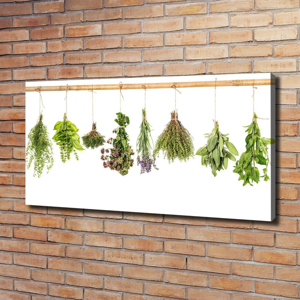 Tableau photo sur toile Herbes sur une ficelle