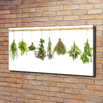 Tableau photo sur toile Herbes sur une ficelle