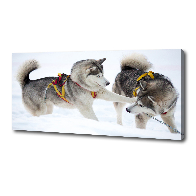 Tableau sur toile Husky en hiver