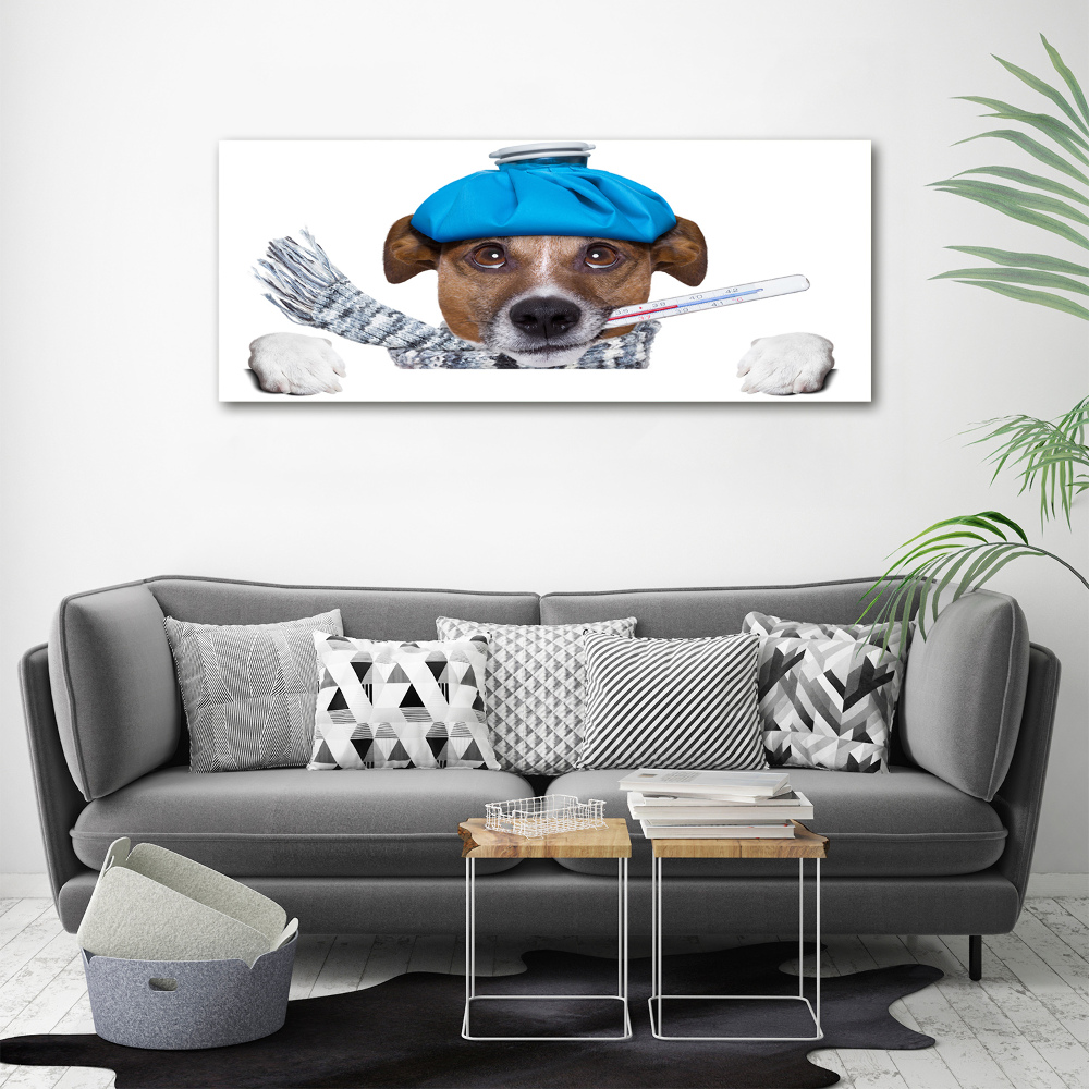 Tableau imprimé sur toile Chien malade