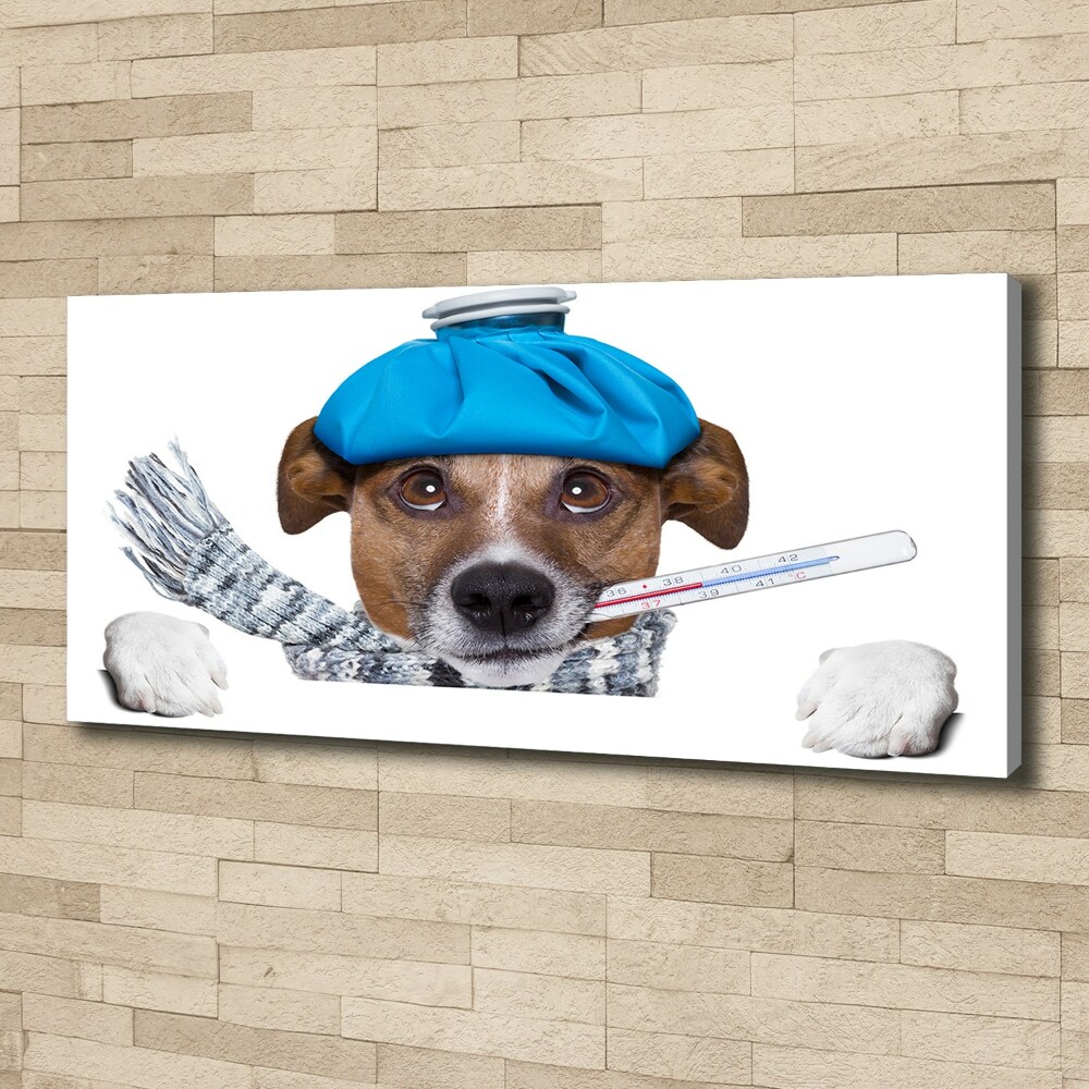 Tableau imprimé sur toile Chien malade