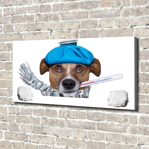 Tableau imprimé sur toile Chien malade