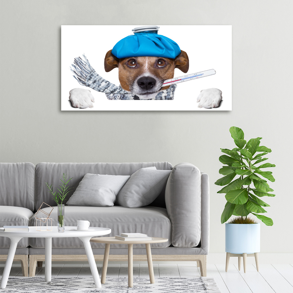 Tableau imprimé sur toile Chien malade