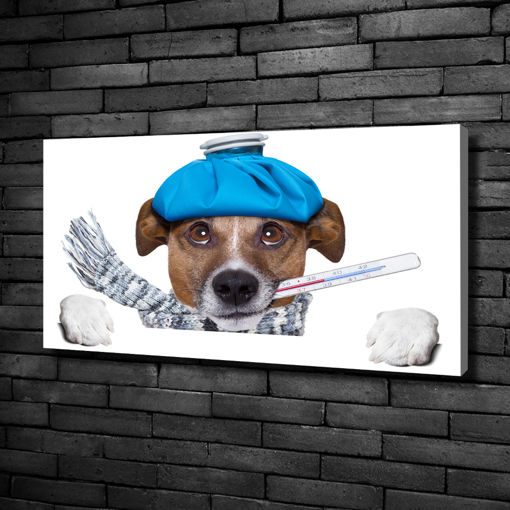 Tableau imprimé sur toile Chien malade