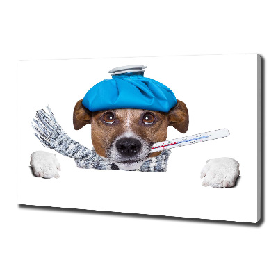 Tableau imprimé sur toile Chien malade