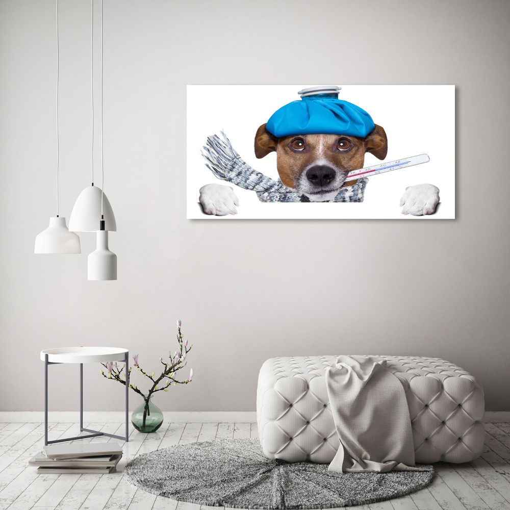 Tableau imprimé sur toile Chien malade