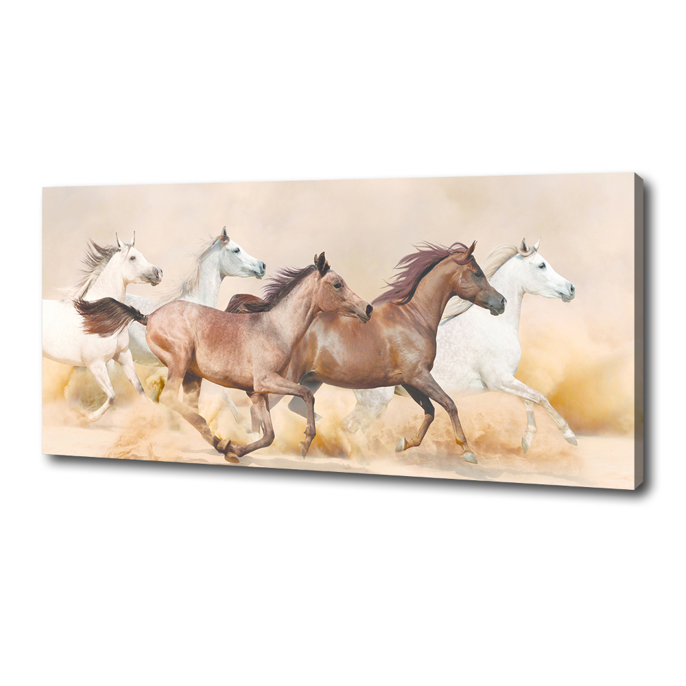 Tableau photo sur toile Chevaux au galop