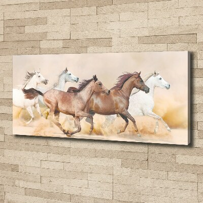 Tableau photo sur toile Chevaux au galop